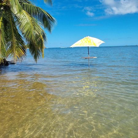 Appartement Kozy Kaz - Les Pieds Dans L Eau à Trinité  Extérieur photo