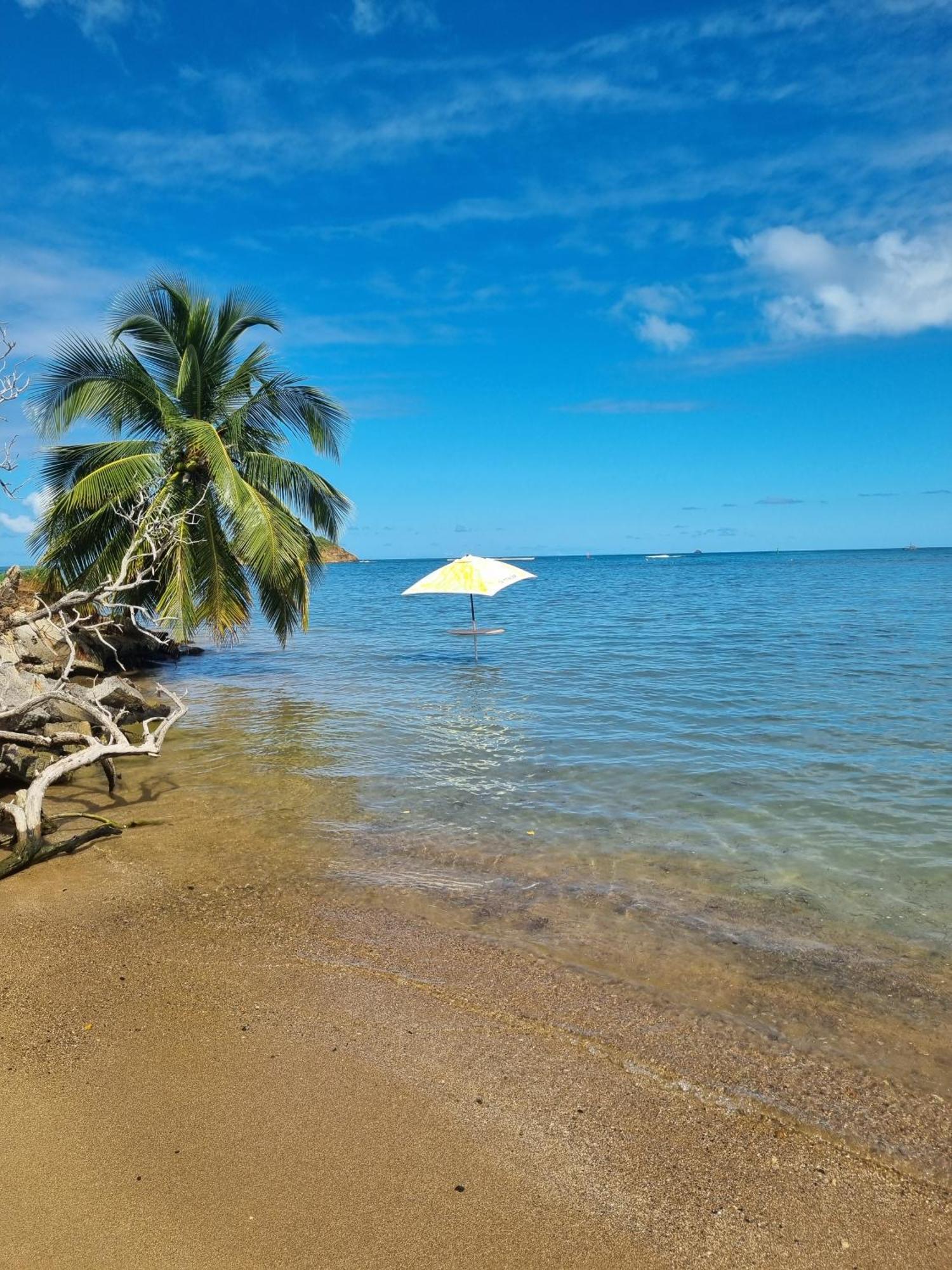 Appartement Kozy Kaz - Les Pieds Dans L Eau à Trinité  Extérieur photo